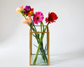 Vase en Verre Trapézoïdal | Bords Dorés | 3,4 L